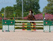 CAIMI ALLOWEN CampITA2013- S5 0549 : ALLOWEEN DB, CAIMI MARTINA, Campionati Italiani 2013, Cattolica, Horse Riviera Resort, foto di Stefano Secchi ©