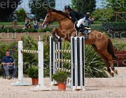 CAIMI ALLOWEN CampITA2013- S5 0551 : ALLOWEEN DB, CAIMI MARTINA, Campionati Italiani 2013, Cattolica, Horse Riviera Resort, foto di Stefano Secchi ©