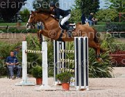 CAIMI ALLOWEN CampITA2013- S5 0552 : ALLOWEEN DB, CAIMI MARTINA, Campionati Italiani 2013, Cattolica, Horse Riviera Resort, foto di Stefano Secchi ©