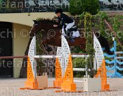 CALVI UTAH CampITA2013- S5 1097 : CALVI CRISTINA, Campionati Italiani 2013, Cattolica, Horse Riviera Resort, UTAH, foto di Stefano Secchi ©