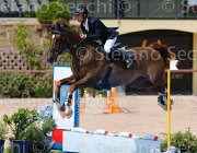 CAMPANELLI VIRMA CampITA2013- S5 0301 : CAMPANELLI ANTONIO, Campionati Italiani 2013, Cattolica, Horse Riviera Resort, foto di Stefano Secchi ©