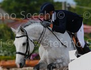 CANONICI COLORADO ItaAss2013- S5 1118 : CANONICI PAOLO, COLORADO, Campionati Italiani 2013, Cattolica, Horse Riviera Resort, foto di Stefano Secchi ©