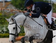 CANONICI COLORADO ItaAss2013- S5 1119 : CANONICI PAOLO, COLORADO, Campionati Italiani 2013, Cattolica, Horse Riviera Resort, foto di Stefano Secchi ©