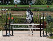 CANONICI COLORADO ItaAss2013- S5 1120 : CANONICI PAOLO, COLORADO, Campionati Italiani 2013, Cattolica, Horse Riviera Resort, foto di Stefano Secchi ©