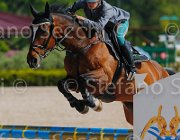 CAPPONI STALLONE CampITA2013- S5 9106 : CAPPONI FRANCESCA, Campionati Italiani 2013, Cattolica, Horse Riviera Resort, STALLONE, foto di Stefano Secchi ©