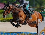 CAPPONI STALLONE CampITA2013- S5 9107 : CAPPONI FRANCESCA, Campionati Italiani 2013, Cattolica, Horse Riviera Resort, STALLONE, foto di Stefano Secchi ©