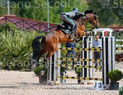 CAPPONI STALLONE CampITA2013- S5 9109 : CAPPONI FRANCESCA, Campionati Italiani 2013, Cattolica, Horse Riviera Resort, STALLONE, foto di Stefano Secchi ©