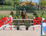 CAPPONI STALLONE CampITA2013- S5 9110 : CAPPONI FRANCESCA, Campionati Italiani 2013, Cattolica, Horse Riviera Resort, STALLONE, foto di Stefano Secchi ©