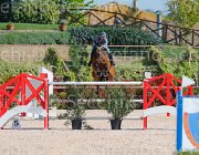 CAPPONI STALLONE CampITA2013- S5 9111 : CAPPONI FRANCESCA, Campionati Italiani 2013, Cattolica, Horse Riviera Resort, STALLONE, foto di Stefano Secchi ©