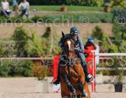 CAPPONI STALLONE CampITA2013- S5 9114 : CAPPONI FRANCESCA, Campionati Italiani 2013, Cattolica, Horse Riviera Resort, STALLONE, foto di Stefano Secchi ©