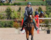 CAPPONI STALLONE CampITA2013- S5 9119 : CAPPONI FRANCESCA, Campionati Italiani 2013, Cattolica, Horse Riviera Resort, STALLONE, foto di Stefano Secchi ©