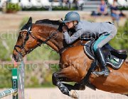 CAPPONI STALLONE CampITA2013- S5 9122 : CAPPONI FRANCESCA, Campionati Italiani 2013, Cattolica, Horse Riviera Resort, STALLONE, foto di Stefano Secchi ©
