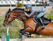 CAPPONI STALLONE CampITA2013- S5 9123 : CAPPONI FRANCESCA, Campionati Italiani 2013, Cattolica, Horse Riviera Resort, STALLONE, foto di Stefano Secchi ©