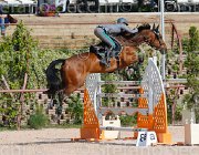 CAPPONI STALLONE CampITA2013- S5 9125 : CAPPONI FRANCESCA, Campionati Italiani 2013, Cattolica, Horse Riviera Resort, STALLONE, foto di Stefano Secchi ©