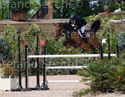 CARRARO RIMINI CampITA2013- S5 0837 : CARRARO MARCELLO, Campionati Italiani 2013, Cattolica, Horse Riviera Resort, RIMINI 042, foto di Stefano Secchi ©