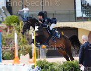 CIMOLAI CARINA CampITA2013- S5 0768 : CARINA 460, CIMOLAI PAOLA, Campionati Italiani 2013, Cattolica, Horse Riviera Resort, foto di Stefano Secchi ©