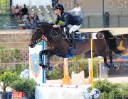 CIMOLAI CARINA CampITA2013- S5 0770 : CARINA 460, CIMOLAI PAOLA, Campionati Italiani 2013, Cattolica, Horse Riviera Resort, foto di Stefano Secchi ©