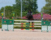 CIMOLAI CARINA CampITA2013- S5 0778 : CARINA 460, CIMOLAI PAOLA, Campionati Italiani 2013, Cattolica, Horse Riviera Resort, foto di Stefano Secchi ©