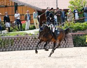 CIMOLAI CARINA CampITA2013- S5 0783 : CARINA 460, CIMOLAI PAOLA, Campionati Italiani 2013, Cattolica, Horse Riviera Resort, foto di Stefano Secchi ©