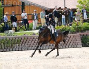CIMOLAI CARINA CampITA2013- S5 0784 : CARINA 460, CIMOLAI PAOLA, Campionati Italiani 2013, Cattolica, Horse Riviera Resort, foto di Stefano Secchi ©