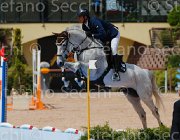 CINELLI THETIS CampITA2013- S5 0289 : CINELLI VINCENZO, Campionati Italiani 2013, Cattolica, Horse Riviera Resort, THETIS, foto di Stefano Secchi ©