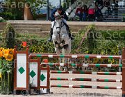 CINELLI THETIS CampITA2013- S5 0291 : CINELLI VINCENZO, Campionati Italiani 2013, Cattolica, Horse Riviera Resort, THETIS, foto di Stefano Secchi ©