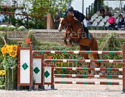 CIPRIANI UMBRIE CampITA2013- S5 0653 : CIPRIANI LORENZO, Campionati Italiani 2013, Cattolica, Horse Riviera Resort, UMBRIE VAN DE HELLE, foto di Stefano Secchi ©