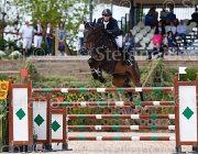CIUCCI ULRIC CampITA2013- S5 0480 : CIUCCI MARCO, Campionati Italiani 2013, Cattolica, Horse Riviera Resort, ULRIC, foto di Stefano Secchi ©