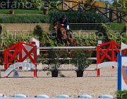 COCCONI ZANRA CampITA2013- S5 8955 : COCCONI ALBERTO, Campionati Italiani 2013, Cattolica, Horse Riviera Resort, ZANRA Z, foto di Stefano Secchi ©