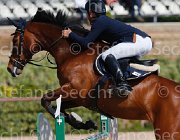 COCCONI ZANRA CampITA2013- S5 8965 : COCCONI ALBERTO, Campionati Italiani 2013, Cattolica, Horse Riviera Resort, ZANRA Z, foto di Stefano Secchi ©