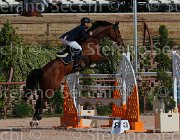 COCCONI ZANRA CampITA2013- S5 8966 : COCCONI ALBERTO, Campionati Italiani 2013, Cattolica, Horse Riviera Resort, ZANRA Z, foto di Stefano Secchi ©