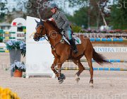 CODECASA TAYSON CampITA2013- S5 1227 : CODECASA FILIPPO, Campionati Italiani 2013, Cattolica, Horse Riviera Resort, TAYSON, foto di Stefano Secchi ©