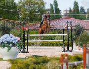CODECASA TAYSON CampITA2013- S5 1228 : CODECASA FILIPPO, Campionati Italiani 2013, Cattolica, Horse Riviera Resort, TAYSON, foto di Stefano Secchi ©