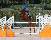 CODECASA TAYSON CampITA2013- S5 1231 : CODECASA FILIPPO, Campionati Italiani 2013, Cattolica, Horse Riviera Resort, TAYSON, foto di Stefano Secchi ©