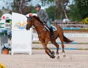 CODECASA TAYSON ItaAss2013- S5 1226 : CODECASA FILIPPO, Campionati Italiani 2013, Cattolica, Horse Riviera Resort, TAYSON, foto di Stefano Secchi ©