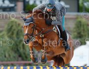 CODECASA TAYSON ItaAss2013- S5 1234 : CODECASA FILIPPO, Campionati Italiani 2013, Cattolica, Horse Riviera Resort, TAYSON, foto di Stefano Secchi ©