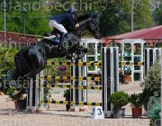COLOMBO WINNER CampITA2013- S5 9935 : COLOMBO ALESSANDRO, Campionati Italiani 2013, Cattolica, Horse Riviera Resort, WINNER, foto di Stefano Secchi ©
