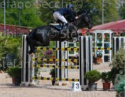 COLOMBO WINNER CampITA2013- S5 9936 : COLOMBO ALESSANDRO, Campionati Italiani 2013, Cattolica, Horse Riviera Resort, WINNER, foto di Stefano Secchi ©