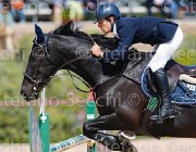 COLOMBO WINNER CampITA2013- S5 9950 : COLOMBO ALESSANDRO, Campionati Italiani 2013, Cattolica, Horse Riviera Resort, WINNER, foto di Stefano Secchi ©