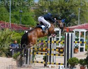 CONSORTI SILVERSTRAS CampITA2013- S5 0173 : CONSORTI GIOVANNI, Campionati Italiani 2013, Cattolica, Horse Riviera Resort, SILVERSTRAS, foto di Stefano Secchi ©