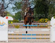 CRISTOFOLETTI DANSECOUR ItaAss2013- S5 1331 : CORTINA, CRISTOFOLETTI, Campionati Italiani 2013, Cattolica, DANSECOUR DE MUZE, Horse Riviera Resort, ROBERTO, foto di Stefano Secchi ©