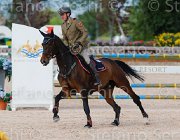CRISTOFOLETTI DANSECOUR ItaAss2013- S5 1333 : CORTINA, CRISTOFOLETTI, Campionati Italiani 2013, Cattolica, DANSECOUR DE MUZE, Horse Riviera Resort, ROBERTO, foto di Stefano Secchi ©