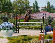 CRISTOFOLETTI DANSECOUR ItaAss2013- S5 1334 : CORTINA, CRISTOFOLETTI, Campionati Italiani 2013, Cattolica, DANSECOUR DE MUZE, Horse Riviera Resort, ROBERTO, foto di Stefano Secchi ©