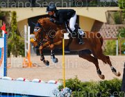 CRIVELLARI CANTERBURRY CampITA2013- S5 0278 : CRIVELLARI FRANCESCA, Campionati Italiani 2013, Cattolica, Horse Riviera Resort, RAHMANNSHOF'S CANTERBURRY, foto di Stefano Secchi ©