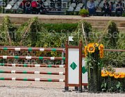 CRIVELLARI CANTERBURRY CampITA2013- S5 0279 : CRIVELLARI FRANCESCA, Campionati Italiani 2013, Cattolica, Horse Riviera Resort, RAHMANNSHOF'S CANTERBURRY, foto di Stefano Secchi ©