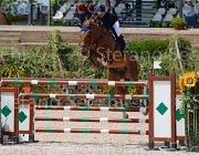 CRIVELLARI CANTERBURRY CampITA2013- S5 0280 : CRIVELLARI FRANCESCA, Campionati Italiani 2013, Cattolica, Horse Riviera Resort, RAHMANNSHOF'S CANTERBURRY, foto di Stefano Secchi ©