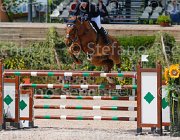 CRIVELLARI CANTERBURRY CampITA2013- S5 0281 : CRIVELLARI FRANCESCA, Campionati Italiani 2013, Cattolica, Horse Riviera Resort, RAHMANNSHOF'S CANTERBURRY, foto di Stefano Secchi ©