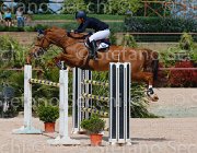 CRIVELLARI CANTERBURRY CampITA2013- S5 0285 : CRIVELLARI FRANCESCA, Campionati Italiani 2013, Cattolica, Horse Riviera Resort, RAHMANNSHOF'S CANTERBURRY, foto di Stefano Secchi ©