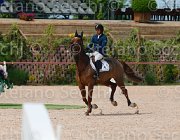 DELUCA QUASIMODO CampITA2013- S5 0409 : Campionati Italiani 2013, Cattolica, DELUCA GIUSEPPE, Horse Riviera Resort, QUASIMODO DE HURTEBISE, foto di Stefano Secchi ©