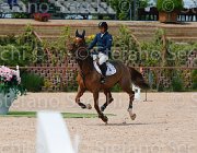 DELUCA QUASIMODO CampITA2013- S5 0410 : Campionati Italiani 2013, Cattolica, DELUCA GIUSEPPE, Horse Riviera Resort, QUASIMODO DE HURTEBISE, foto di Stefano Secchi ©